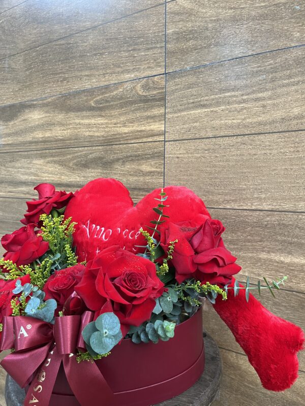 BOX rosa Importada + Coração de pelúcia com braço - Imagem 4