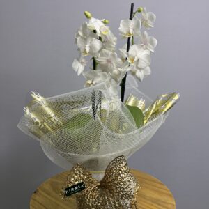 Mini Orquídea Branca Haste Dupla