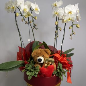 Box Coração, 2 Orquídeas Phalaenopsis + Urso + Ferrero