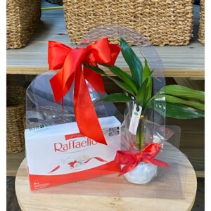 Maleta Raffaello Bamboo