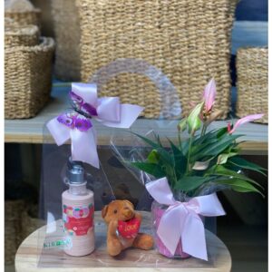 Maleta Love Loção Antúrio