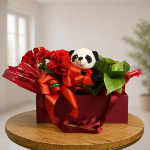 Box Begônia + Pelúcia + Jibóia