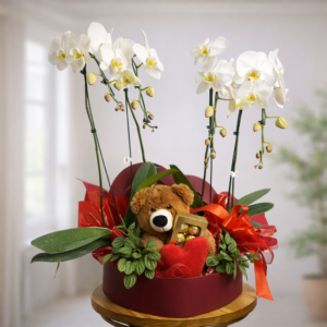 Box Coração, 2 Orquídeas Phalaenopsis + Urso + Ferrero