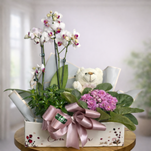 Box Mini Orquídea + Violeta + Urso