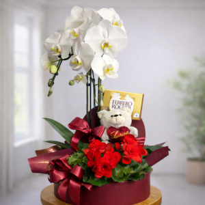 Box Orquídea + Begônia + Urso + Ferrero