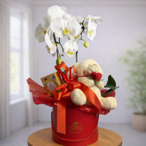 Box Orquídea Phalaenopsis + Urso + Ferrero