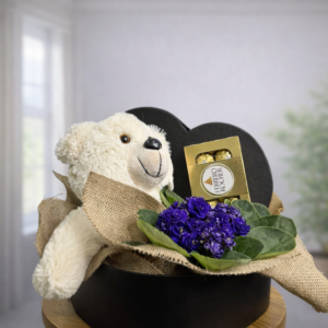 Box Violeta + Urso + Ferrero