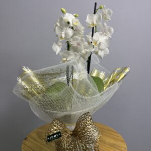 Mini Orquídea Branca Haste Dupla