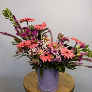 Box Tropical Gérberas