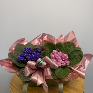 Box Sacola 2 Violetas