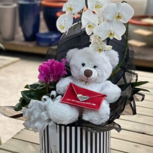 Box Branca + Orquidea haste dupla + pelucia