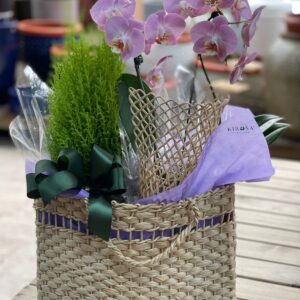 Orquidea e Tuia holandesa na bolsa palha