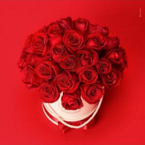 Box Luxo 36 Rosas importadas