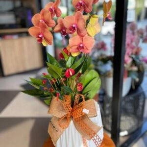 Orquídea e antúrio no cachepô