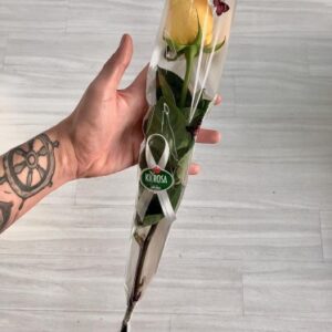 Rosa Amarela Embalada