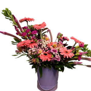 BOX MIX DE GÉRBERAS e FLORES do CAMPO