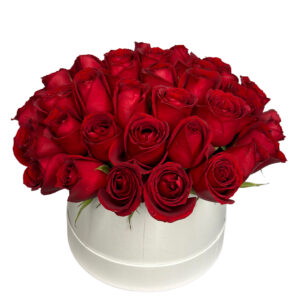 Box de 36 ROSAS VERMELHAS